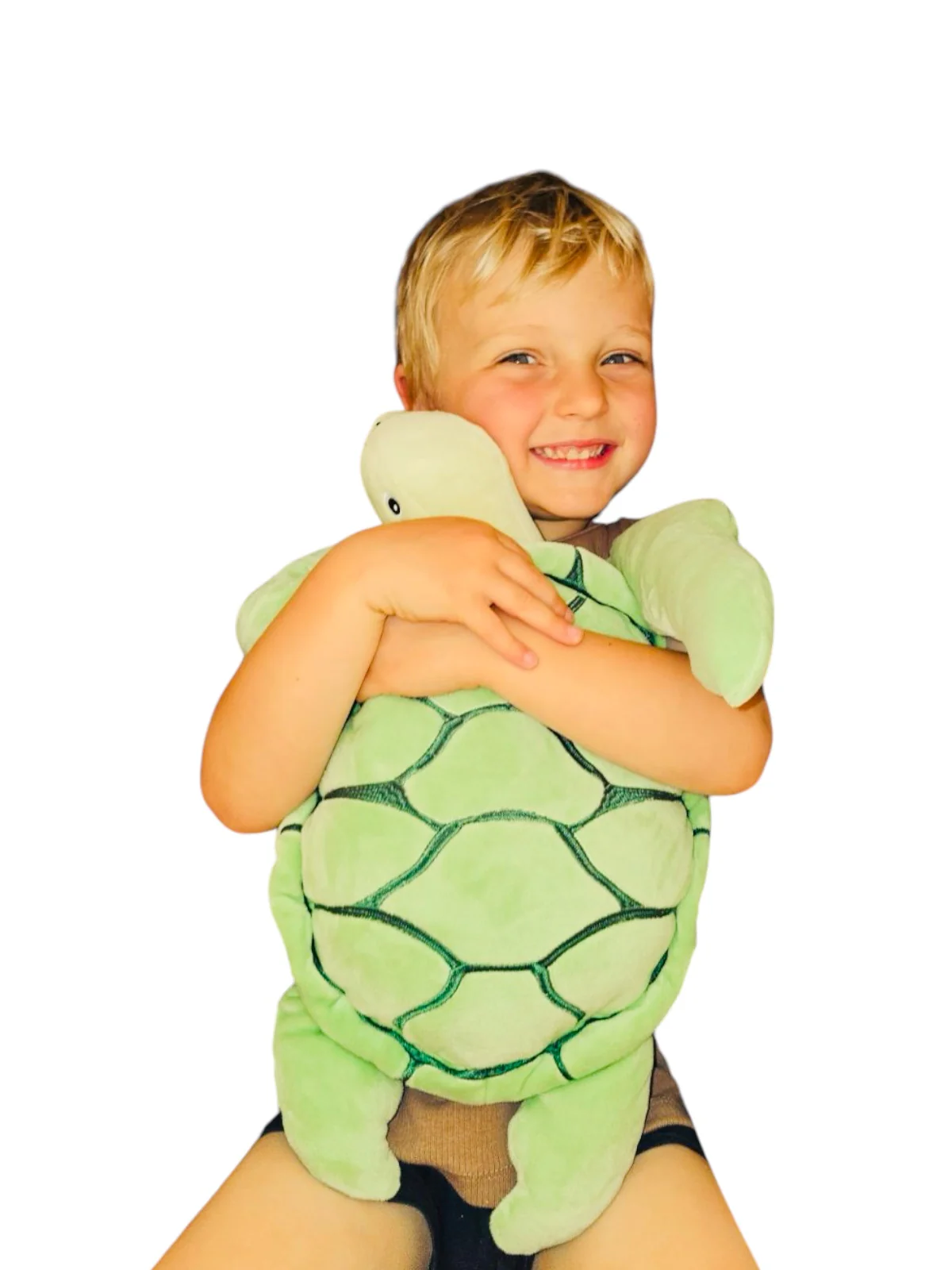 2.5kg Weighted Lap Plush - Turtle - Image 3