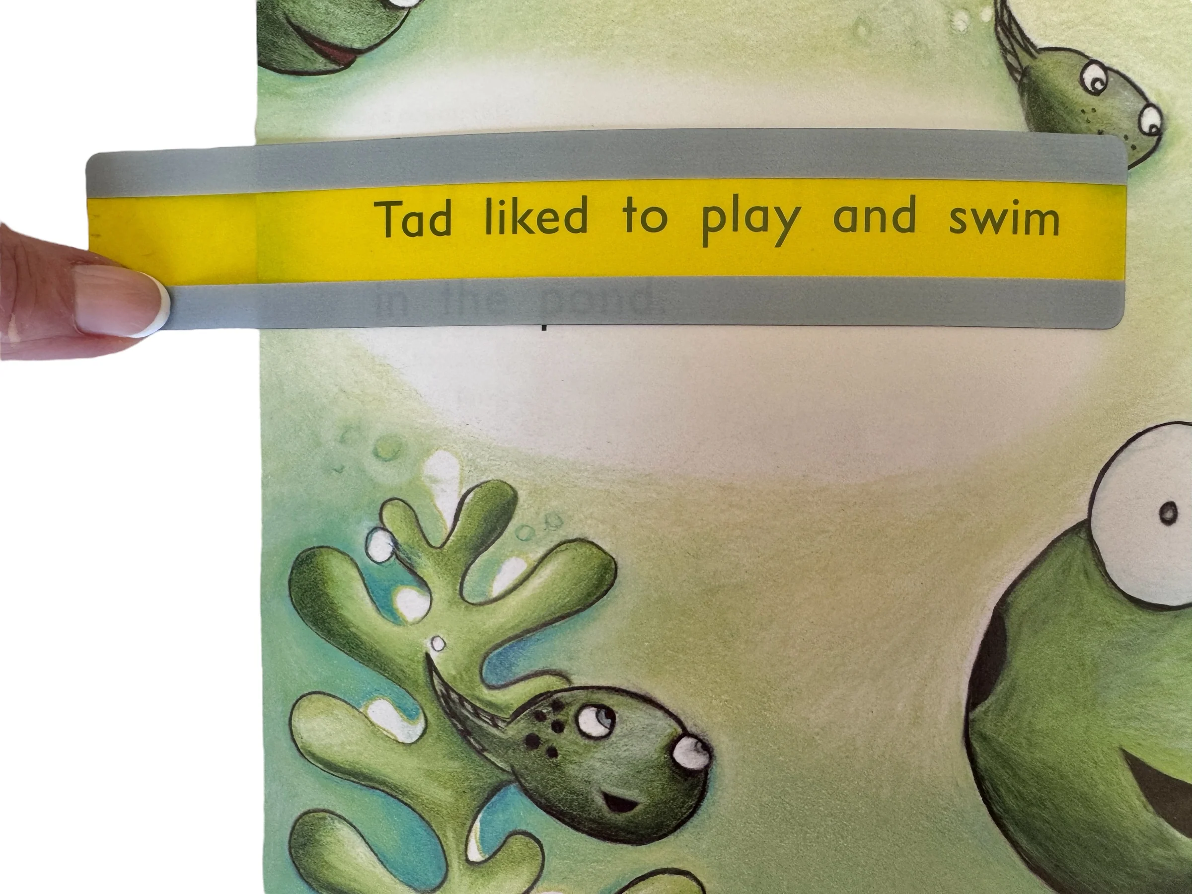 Coloured Reading Guide - Extra Wide - Image 5